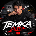 Temka Data лого